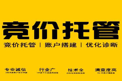 某电商平台的SEM推广策略全解析